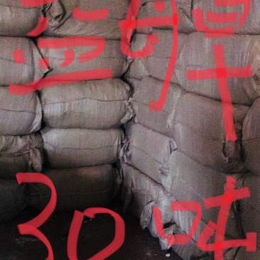 益母草