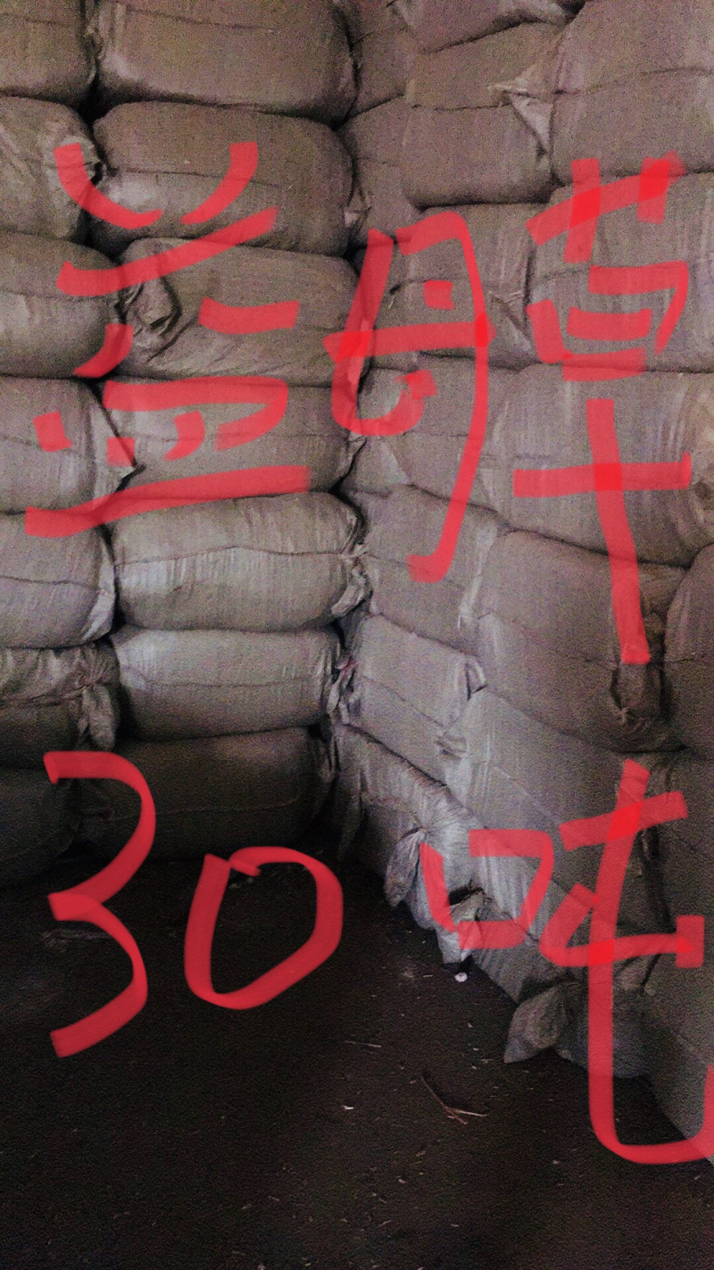 益母草