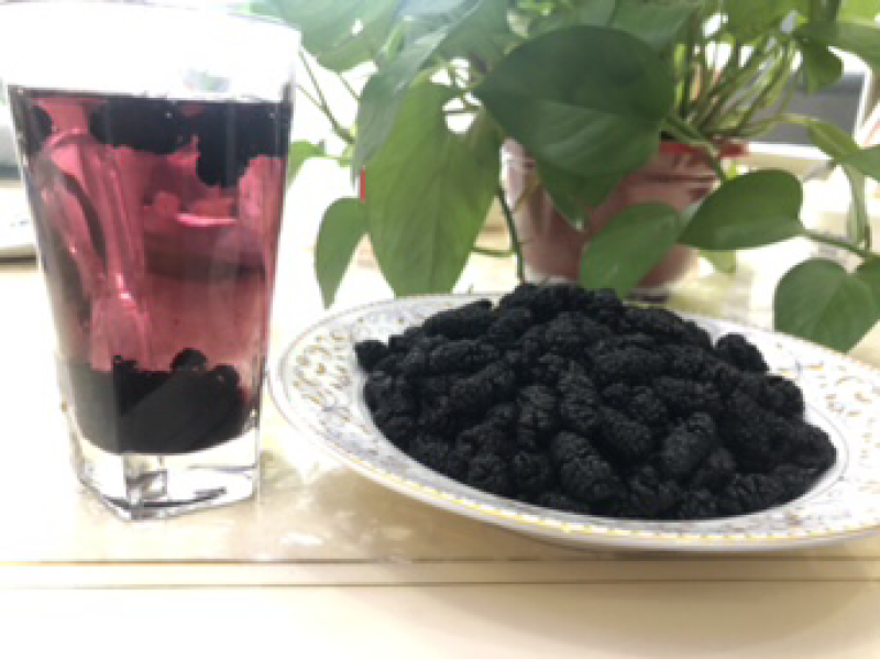 晒货桑葚干！大量批发！