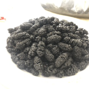 晒货桑葚干！大量批发！