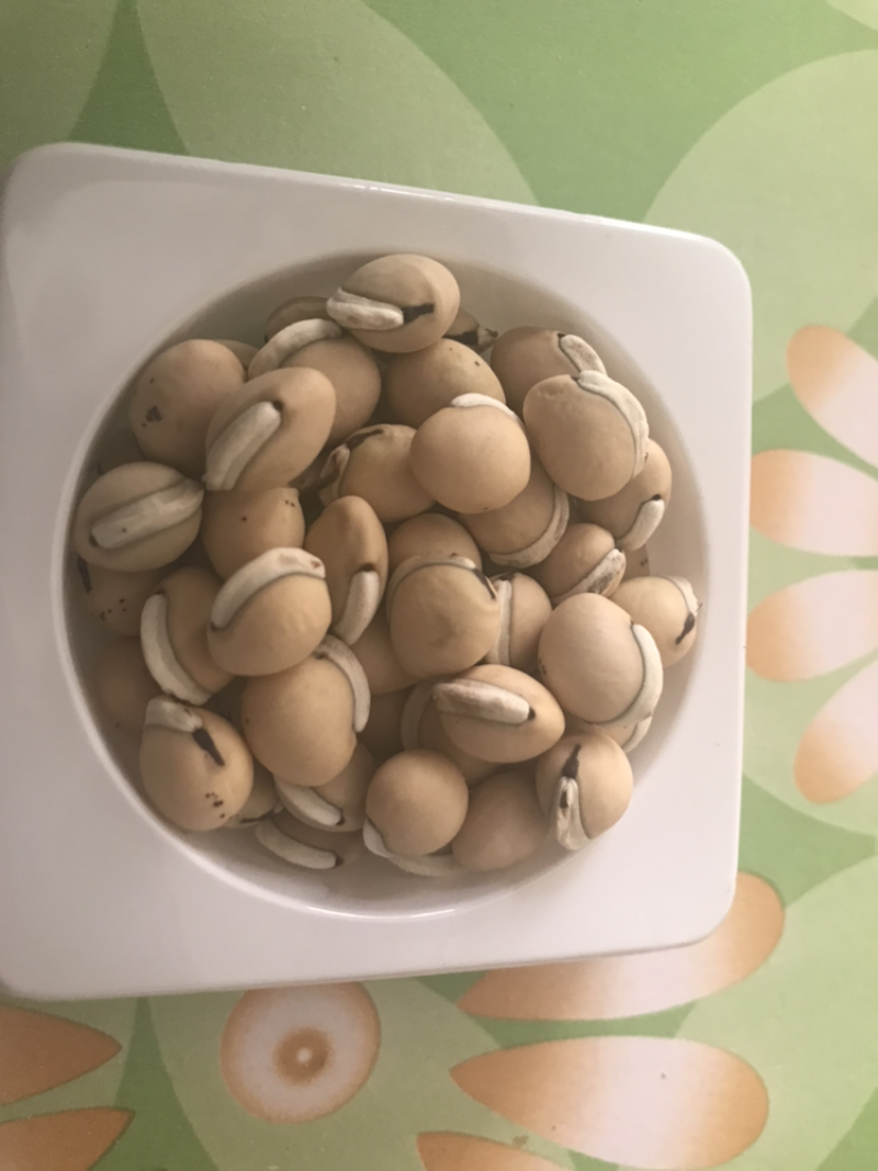 白扁豆