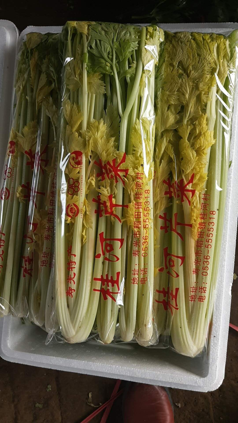 桂河芹菜