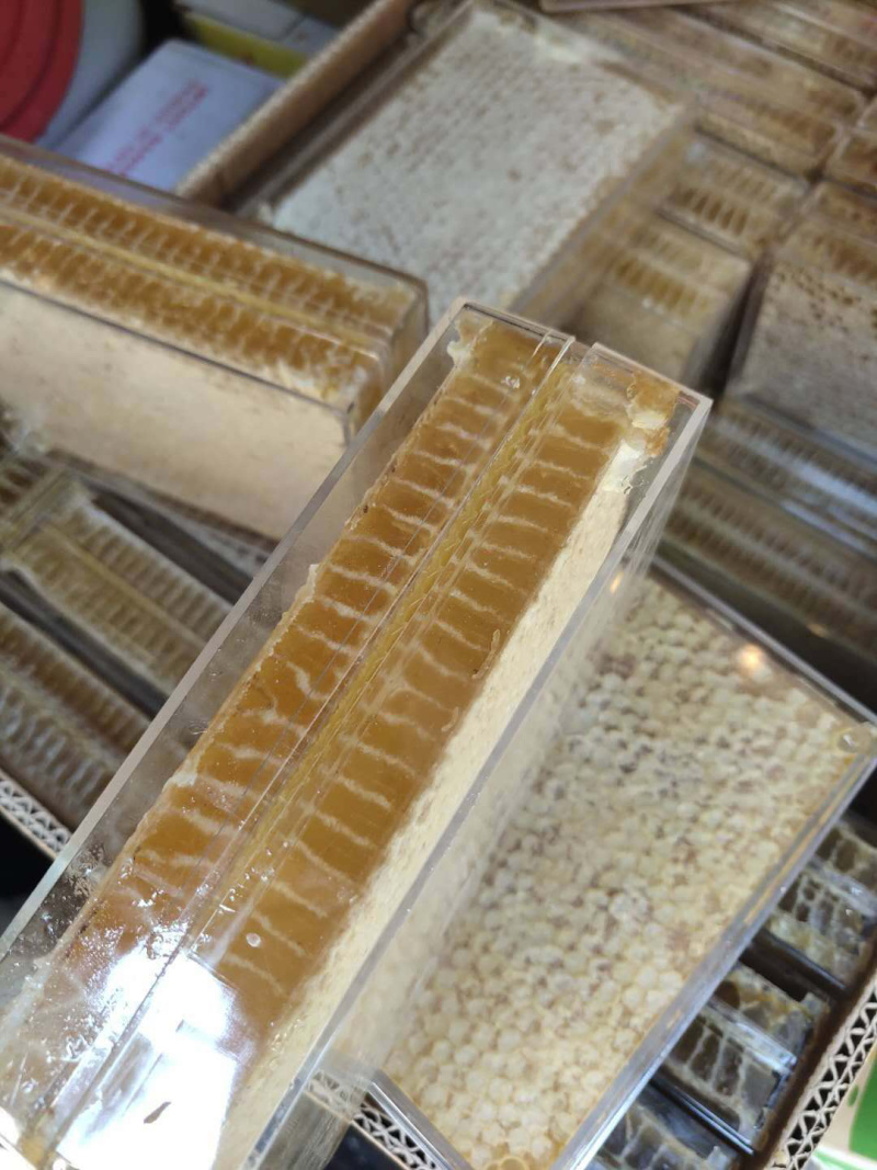 蜂巢蜜蜂蜜一斤装