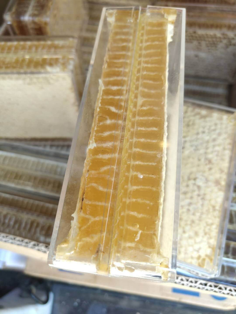 蜂巢蜜蜂蜜一斤装