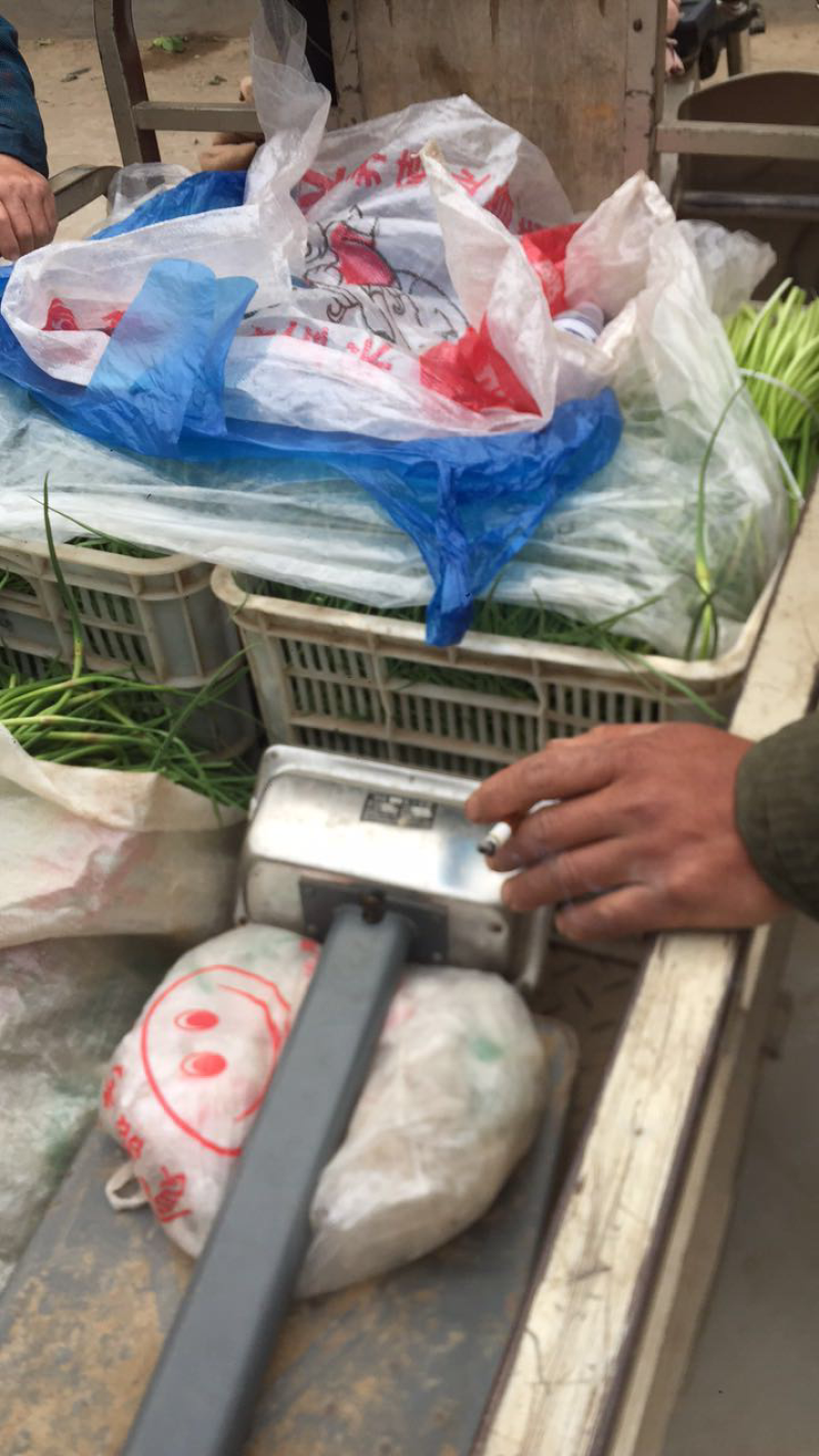 长期大量供应蒜苔📞小油菜