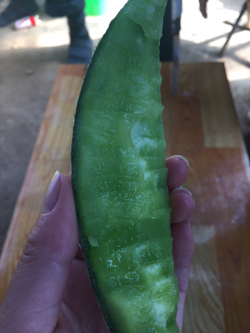 精品网纹瓜，瓜中的爱马仕