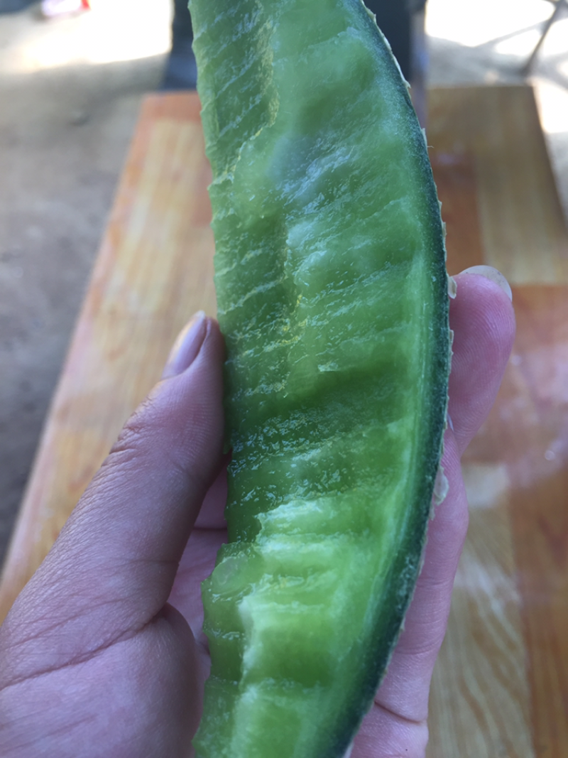精品网纹瓜，瓜中的爱马仕