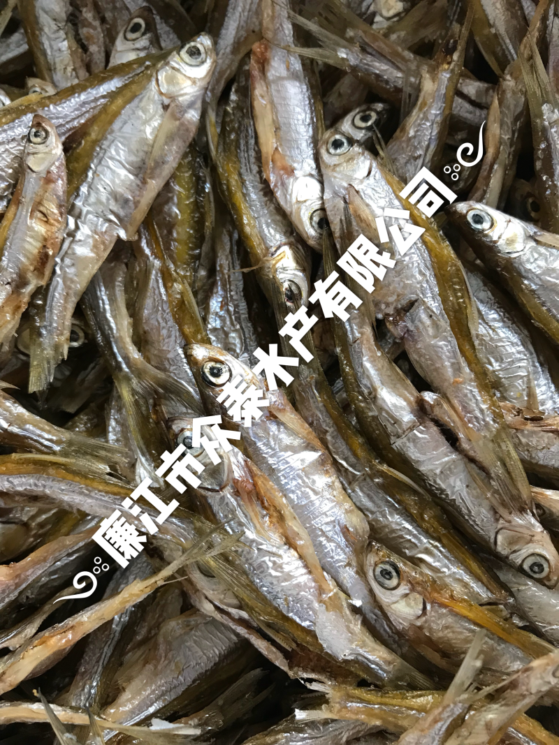 烘干白肖鱼白条一手货源