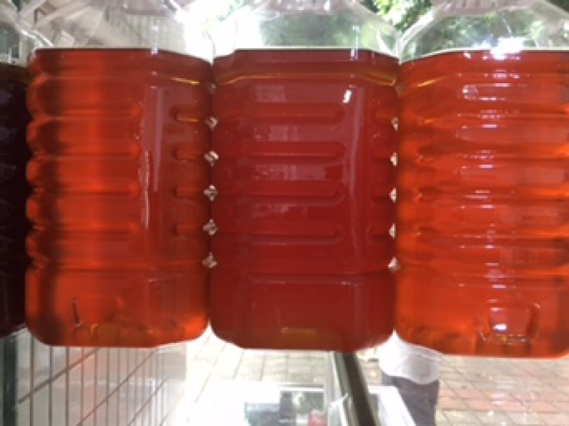 传统工艺制作黄酒酿