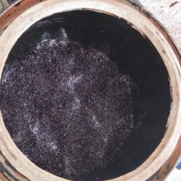 传统工艺制作黄酒酿