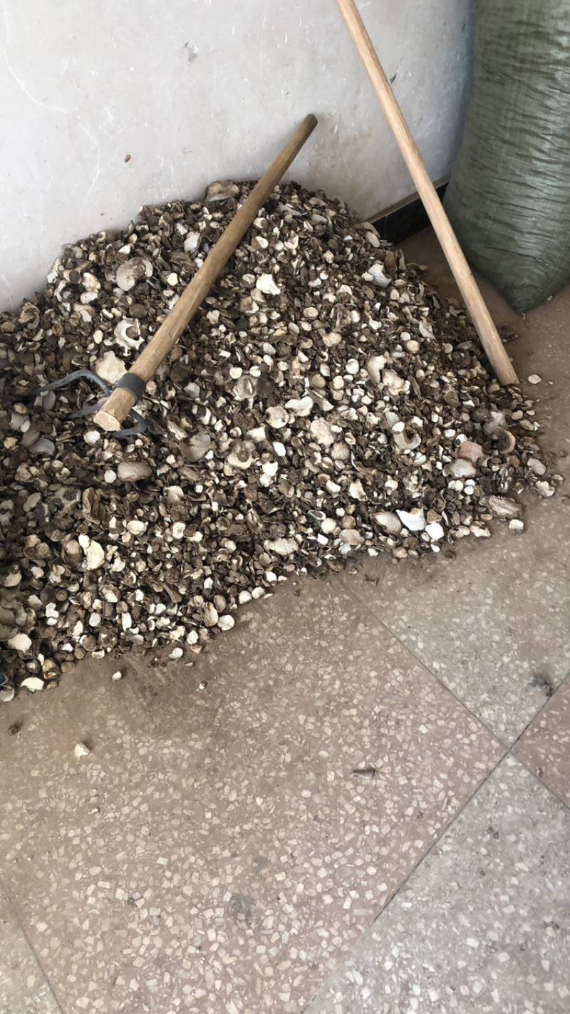 魔芋干片