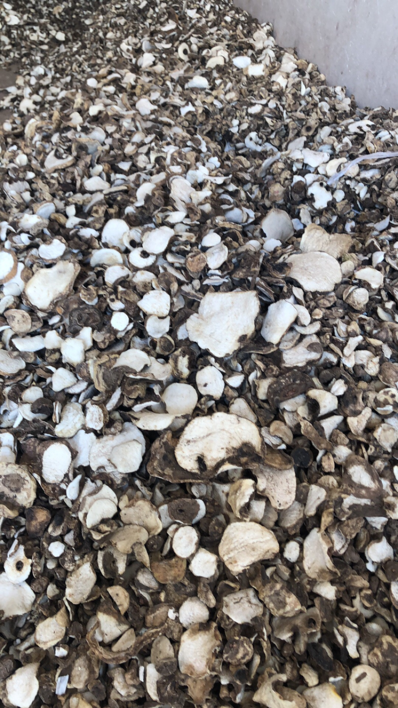 魔芋干片