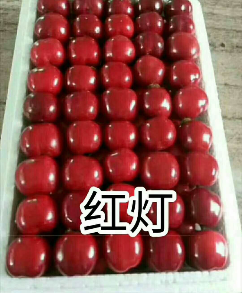 红灯，早大果