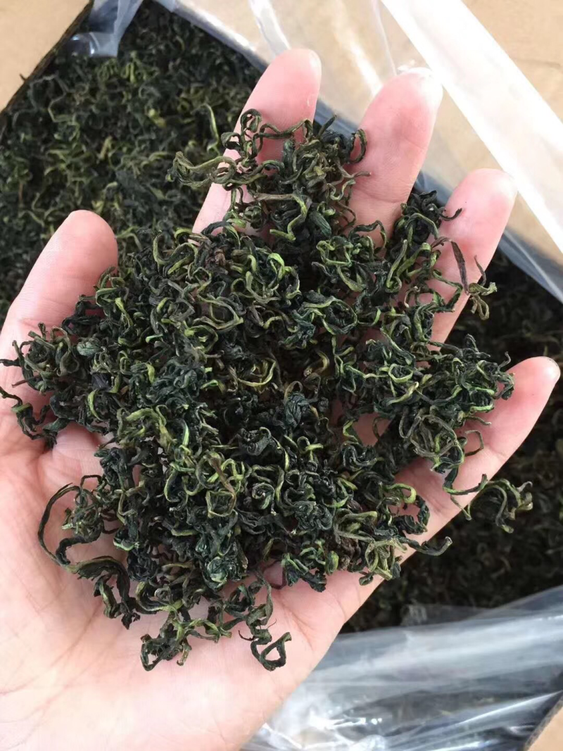 【有好货】蒲公英蒲公英茶2025年婆婆丁公英茶包邮