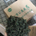 【有好货】蒲公英蒲公英茶2025年婆婆丁公英茶包邮