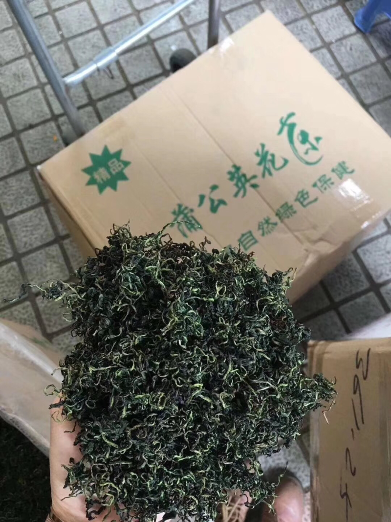 【有好货】蒲公英蒲公英茶2025年婆婆丁公英茶包邮