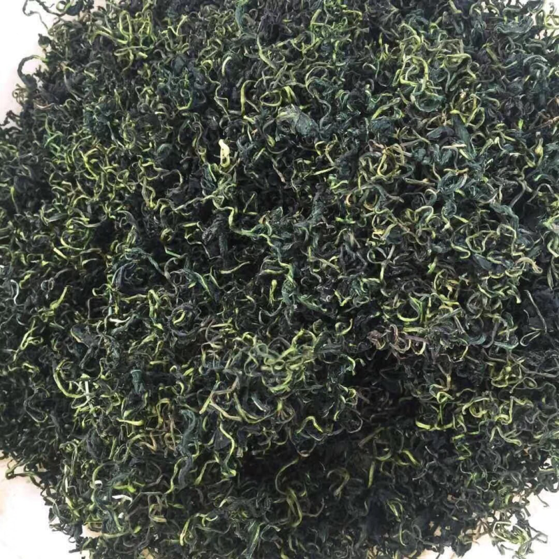 【有好货】蒲公英蒲公英茶2025年婆婆丁公英茶包邮