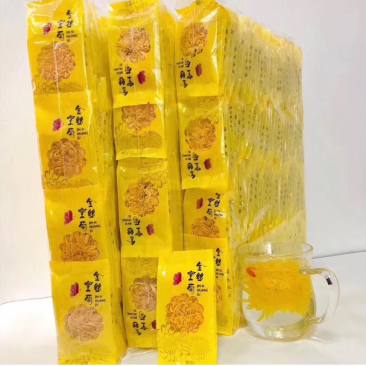 黄山金丝皇菊大朵一朵一杯