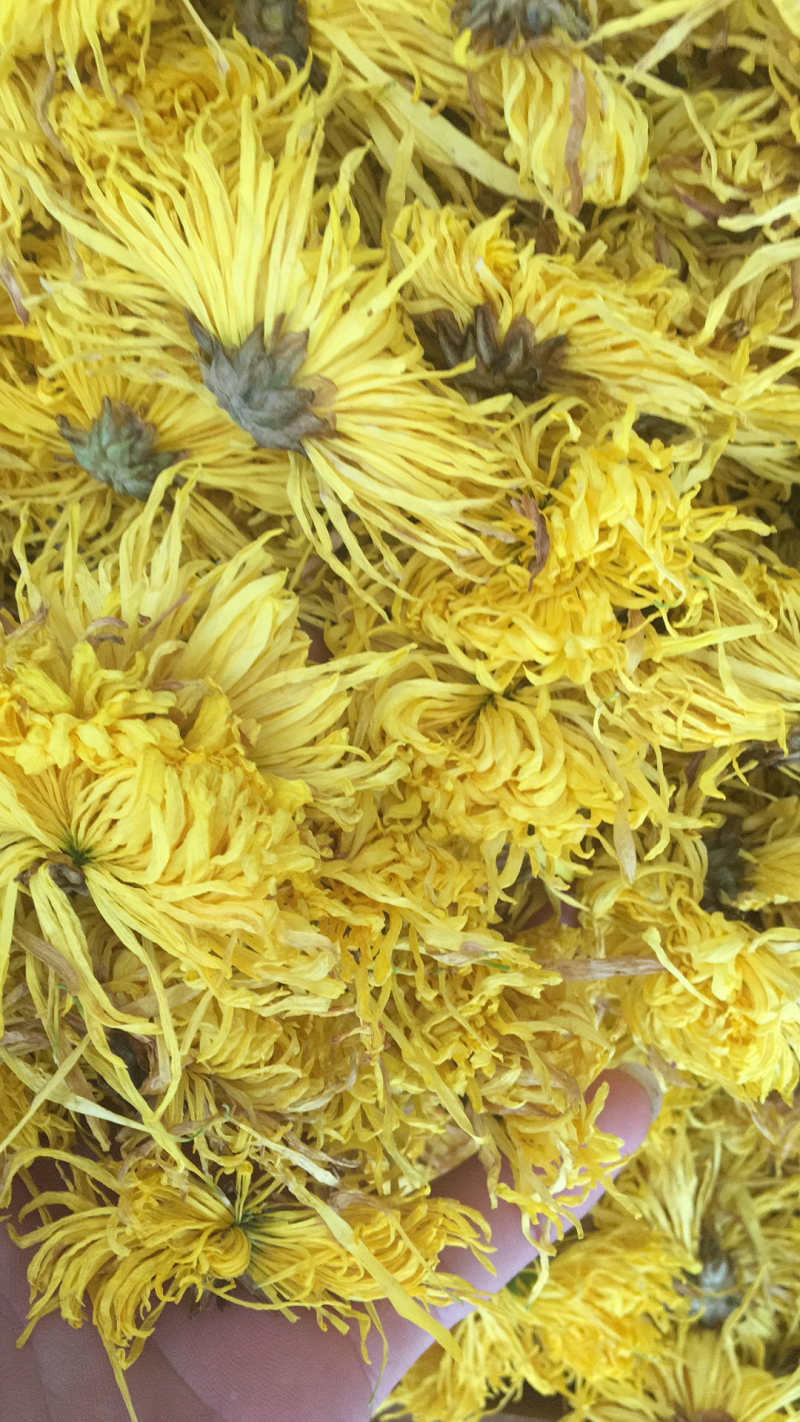 金丝皇菊菊花茶一朵一杯精选三级