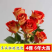 15元4棵玫瑰花苗盆栽室内外庭院花卉植物四季开花不断大
