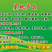 丰水梨七月初上市，山东冠县丰水梨产地万亩梨园直供