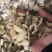 包邮白芨白芨片白及正品保含量