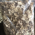 包邮白芨白芨片白及正品保含量