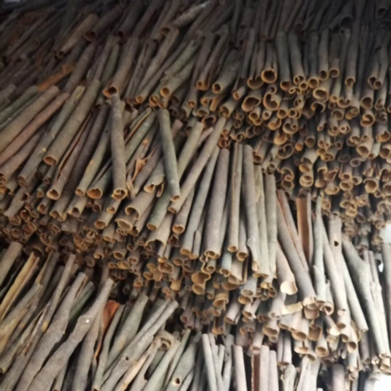 中通桂皮大量有货干度好无白斑量大价格优惠