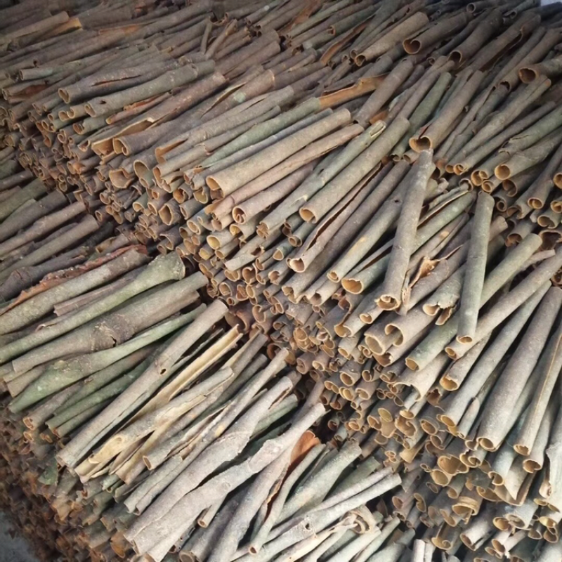 中通桂皮大量有货干度好无白斑量大价格优惠