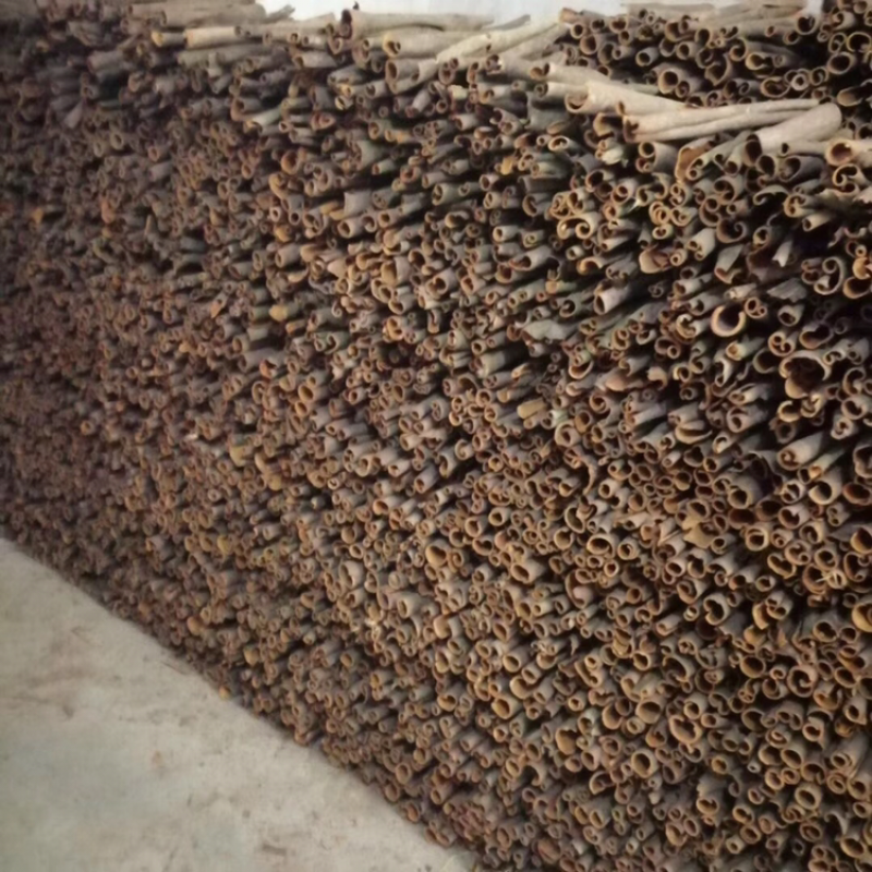 中通桂皮大量有货干度好无白斑量大价格优惠