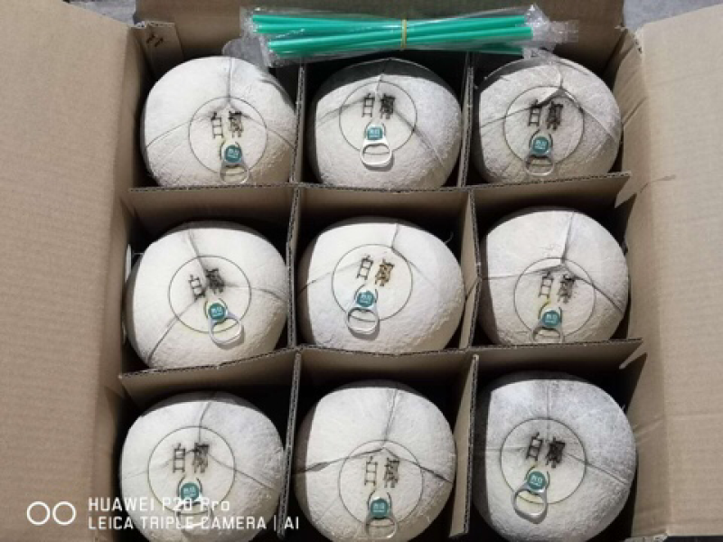 烈日易拉环椰子天上宝水易拉环椰子厂家直销