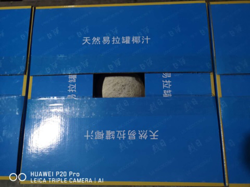 烈日易拉环椰子天上宝水易拉环椰子厂家直销