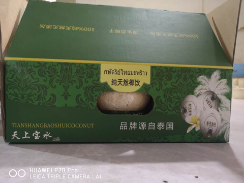 烈日易拉环椰子天上宝水易拉环椰子厂家直销