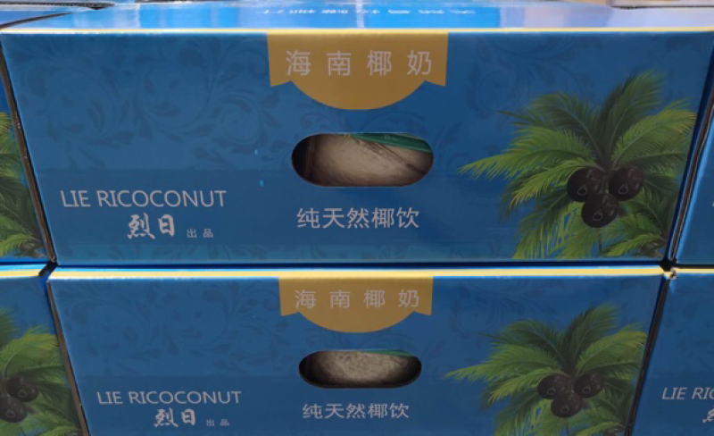 烈日易拉环椰子天上宝水易拉环椰子厂家直销