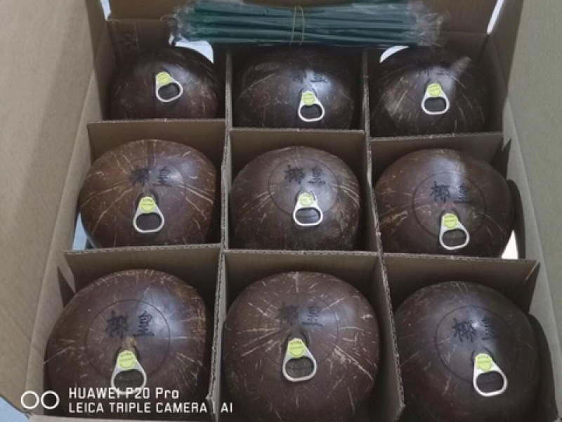 烈日易拉环椰子天上宝水易拉环椰子厂家直销