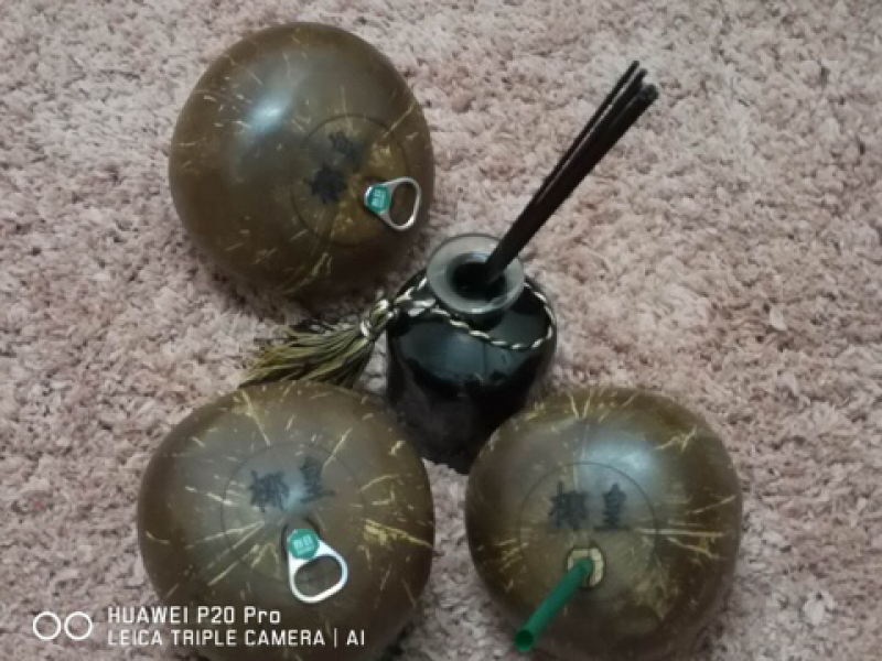 烈日易拉环椰皇椰子老椰子品质保证全国发货