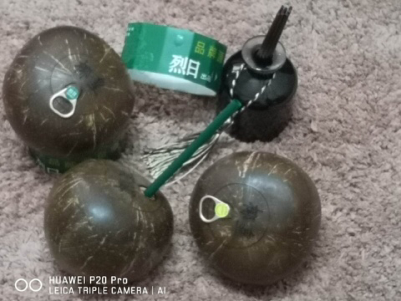 烈日易拉环椰皇椰子老椰子品质保证全国发货