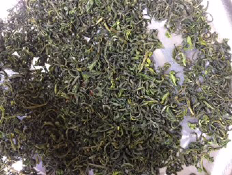 绿茶高山云雾茶500克早春新茶炒青2021年新茶包邮