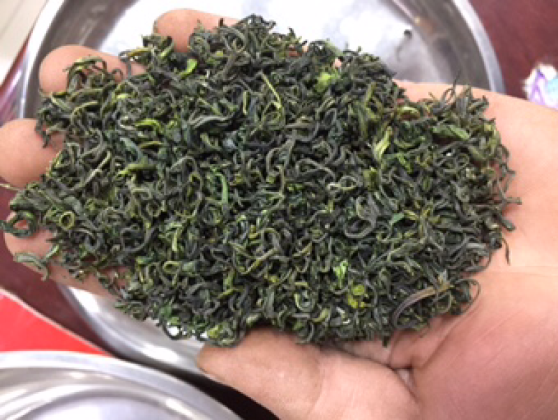 绿茶高山云雾茶500克早春新茶炒青2021年新茶包邮