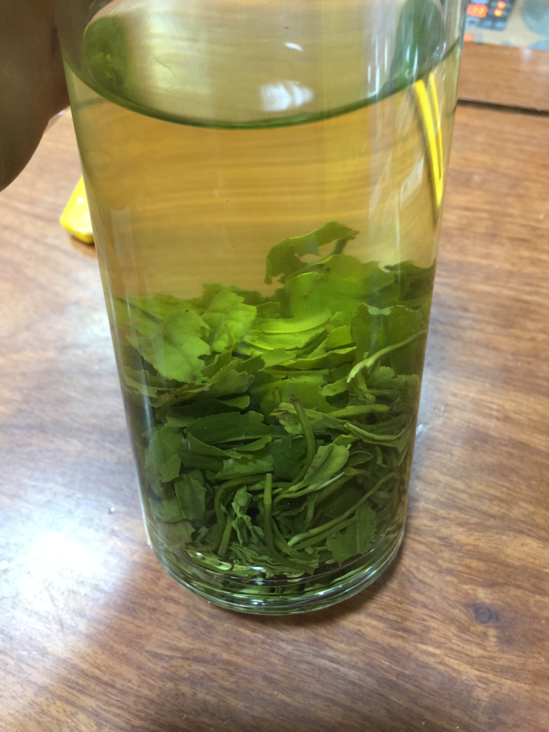 绿茶高山云雾茶500克早春新茶炒青2021年新茶包邮
