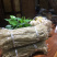 农家手工红薯粉