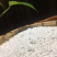 农家红薯芡粉（又名淀粉生粉）