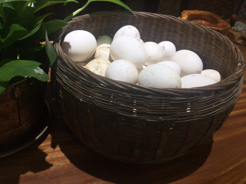 农家土货—-粮食散养鹅蛋