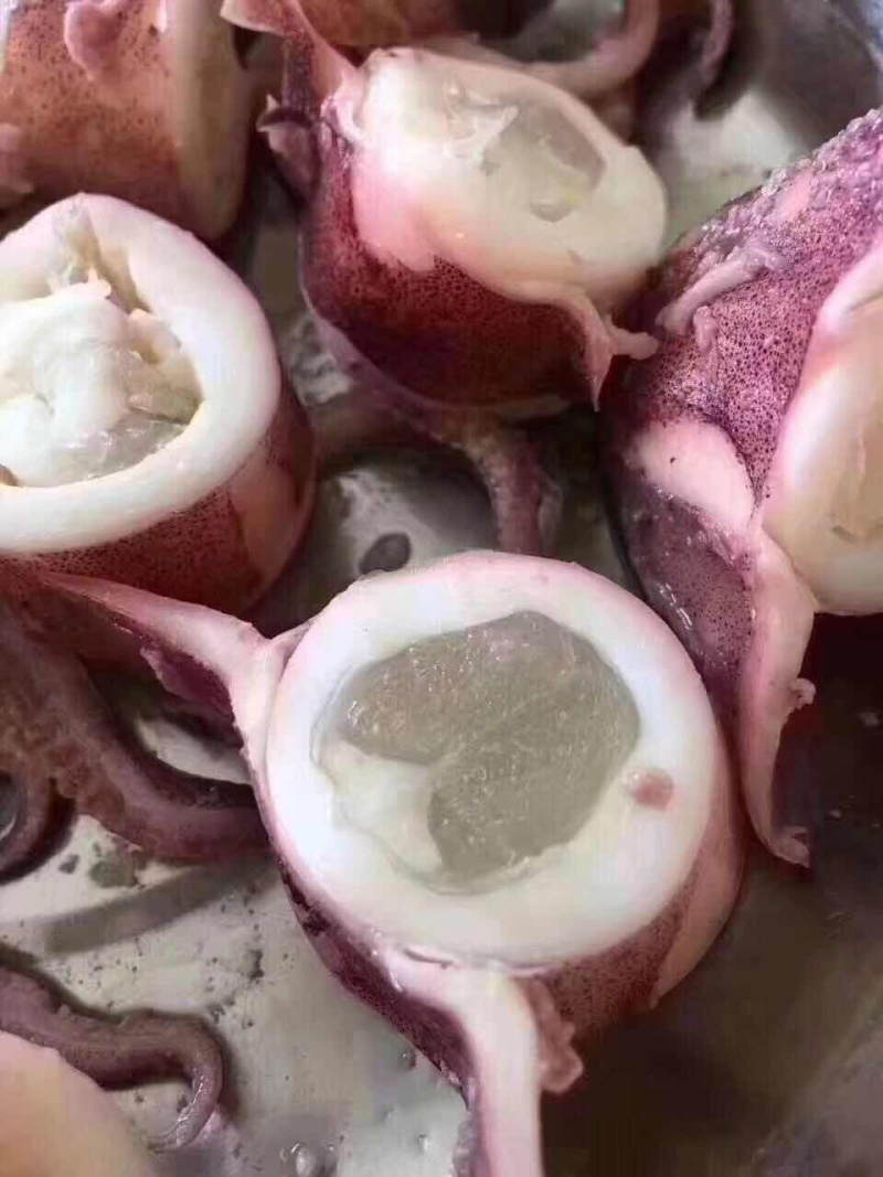 鱿鱼母，全部带饭，口感清脆