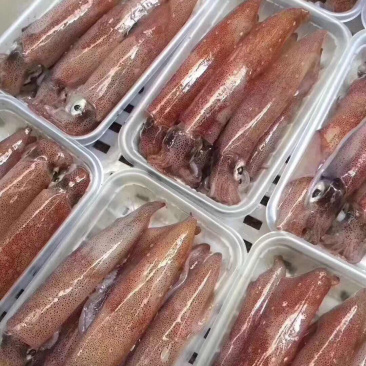 鱿鱼母，全部带饭，口感清脆