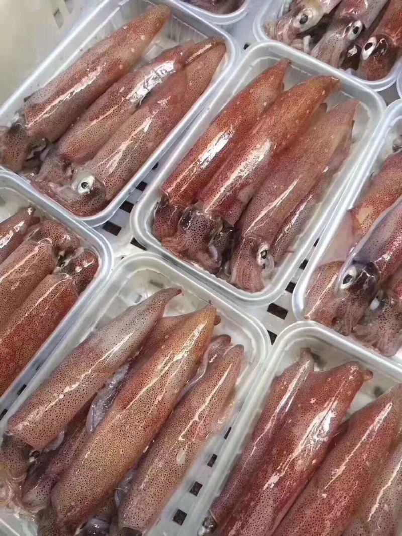 鱿鱼母，全部带饭，口感清脆