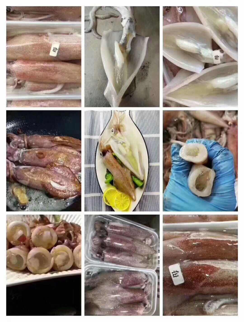 鱿鱼母，全部带饭，口感清脆