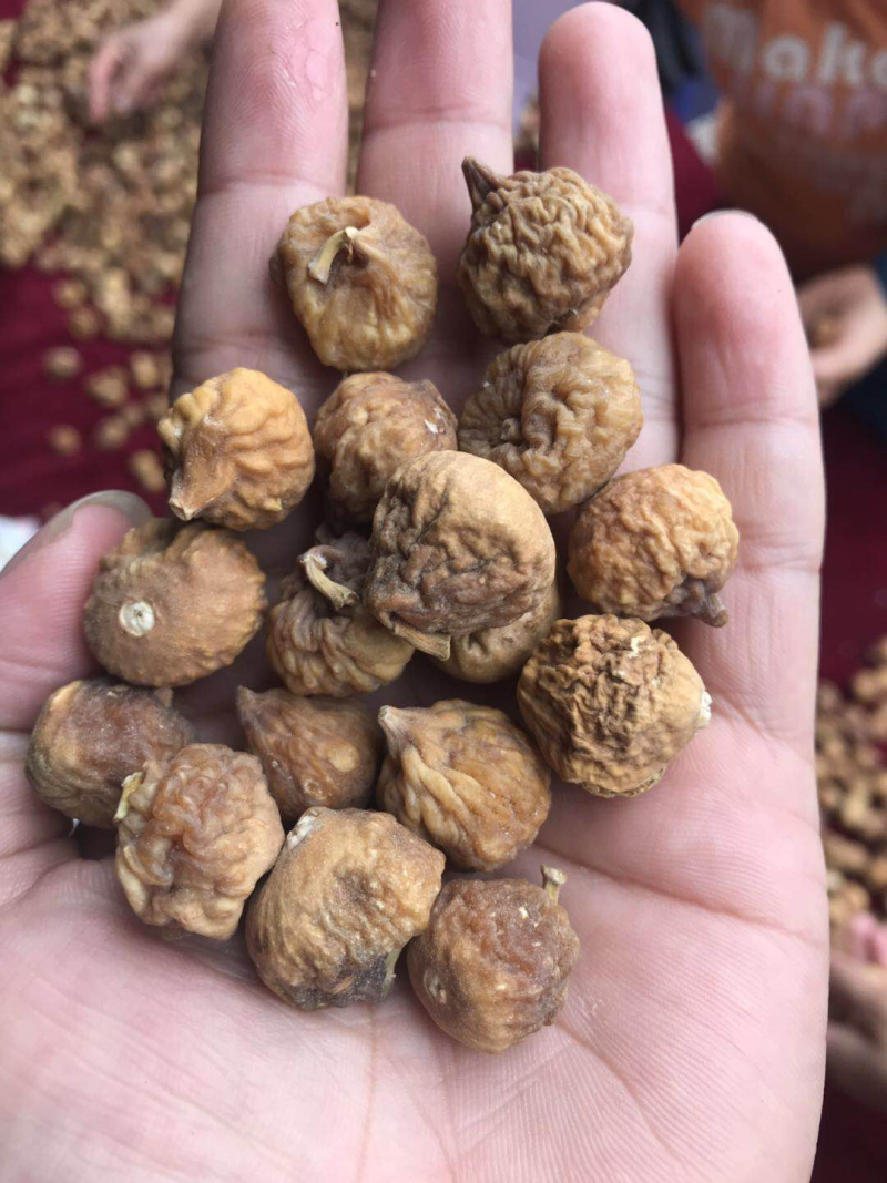 无花果干（煲汤、可干吃）小果适合地摊和电商平台供货