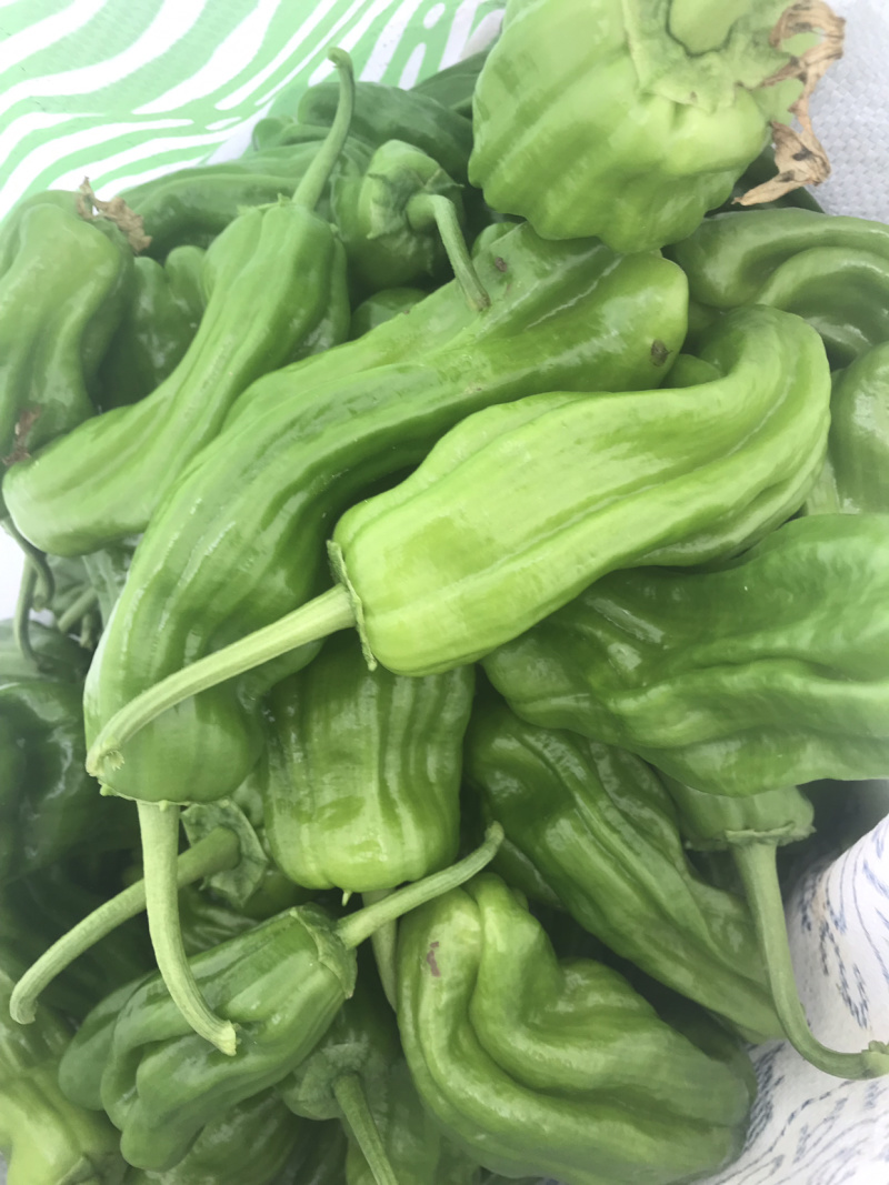 优质薄皮椒芜湖椒