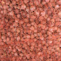 原装进口唐菖蒲剑兰种球切花生产盆栽花海种植大量批发